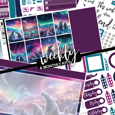 Polar Lights #403 || CHP Dashboard Weekly & Monthly