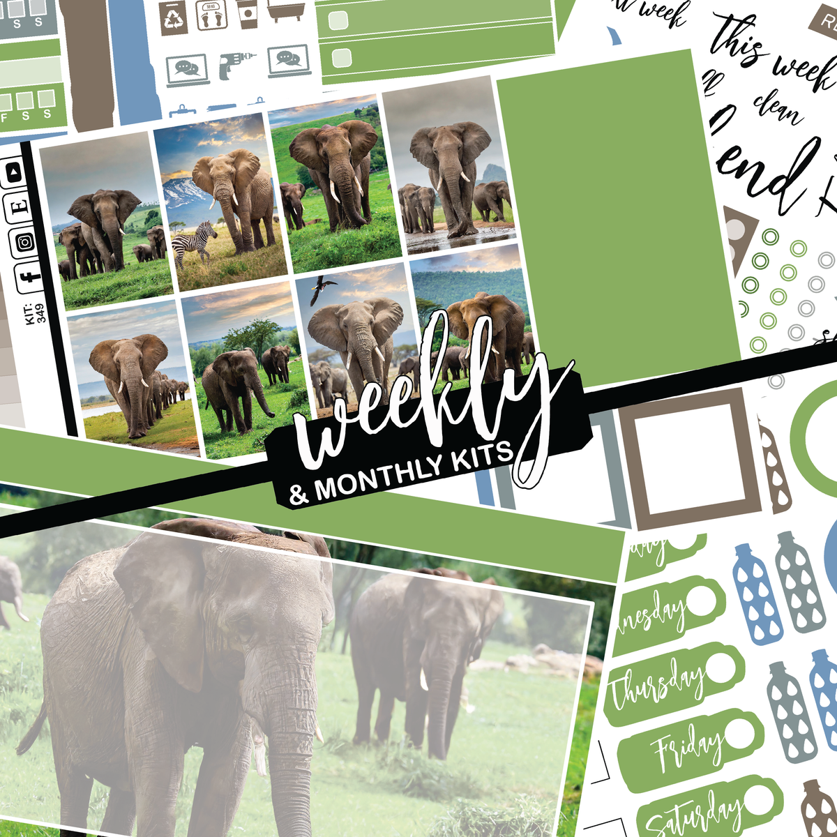 Elephant Expedition #349 || CHP Dashboard Weekly & Monthly