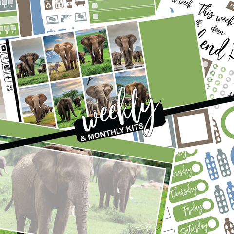 Elephant Expedition #349 || CHP Dashboard Weekly & Monthly
