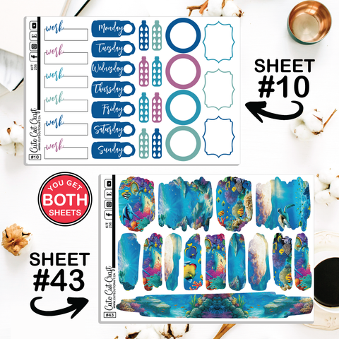 Ocean Life #256 || CHP Dashboard Weekly & Monthly