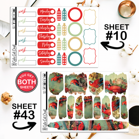 Red Parrot #365  || CHP Dashboard Weekly & Monthly