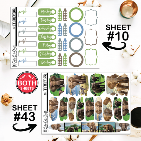 Elephant Expedition #349 || CHP Dashboard Weekly & Monthly