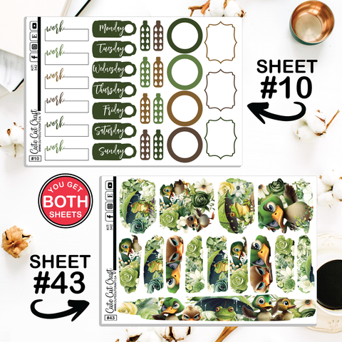 Water Buddies #342 || CHP Dashboard Weekly & Monthly