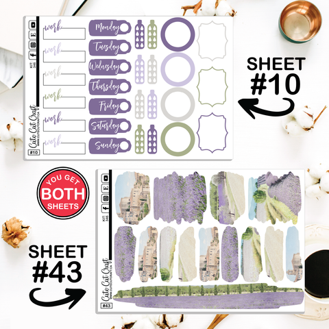 Lavender Fields #346 || CHP Dashboard Weekly & Monthly