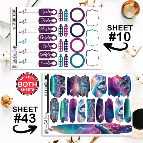 Polar Lights #403 || CHP Dashboard Weekly & Monthly