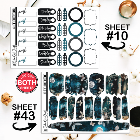 Blue Butterfly #397 || CHP Dashboard Weekly & Monthly