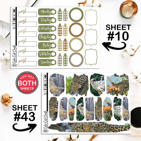 Leopard #406 || CHP Dashboard Weekly & Monthly