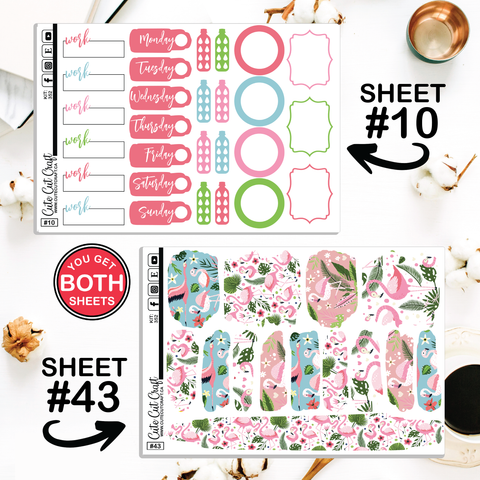 Flamingo Fling #352 || CHP Dashboard Weekly & Monthly