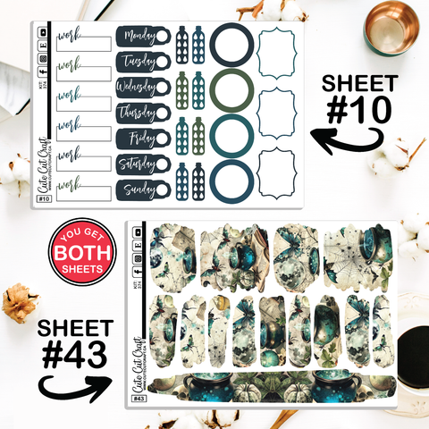 Witchy Way #374 || CHP Dashboard Weekly & Monthly