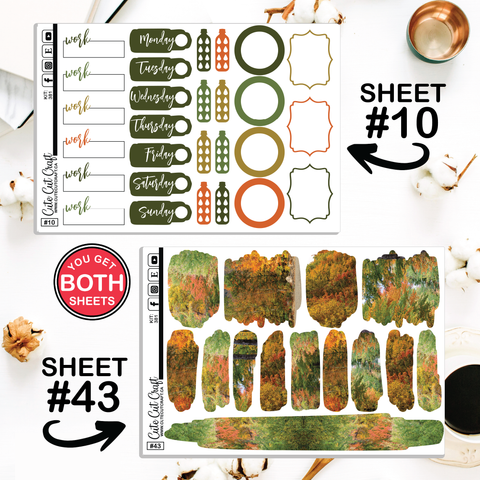 Autumn Anthem #381 || CHP Dashboard Weekly & Monthly