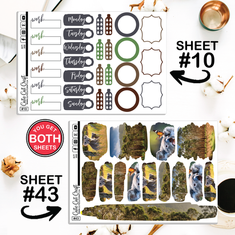 Cute Koala #368 || CHP Dashboard Weekly & Monthly