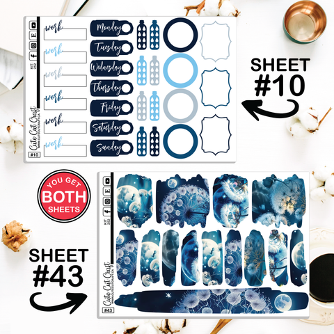 Moonlight Dandy #252 || CHP Dashboard Weekly & Monthly