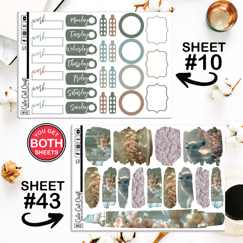 Regency Romance #398 || CHP Dashboard Weekly & Monthly