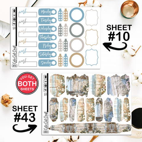 Beachscape #350 || CHP Dashboard Weekly & Monthly