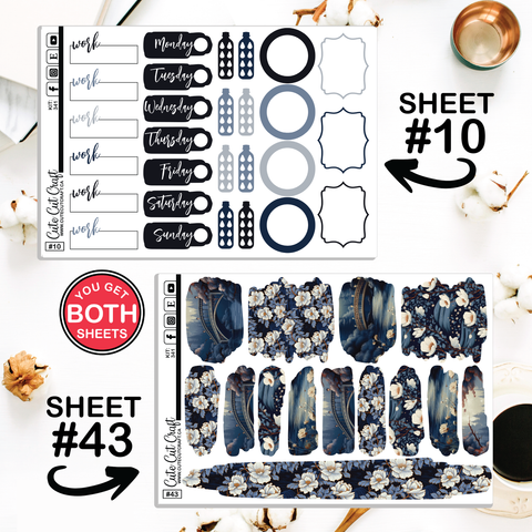 Moonlit Bridges #341 || CHP Dashboard Weekly & Monthly