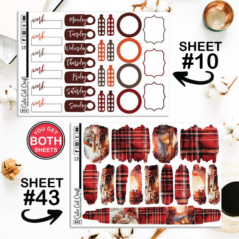 Red Fall # 286 || CHP Dashboard Weekly & Monthly