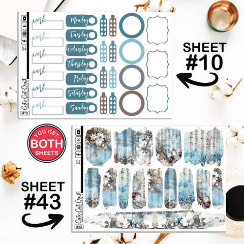 Musical Winter #401 || CHP Dashboard Weekly & Monthly