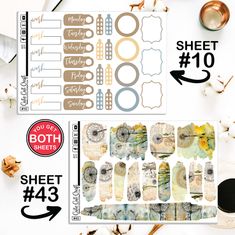 Retro Dandelion #277 || CHP Dashboard Weekly & Monthly