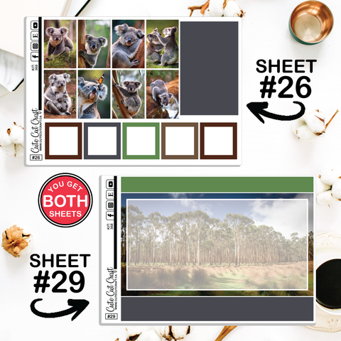 Cute Koala #368 || CHP Dashboard Weekly & Monthly