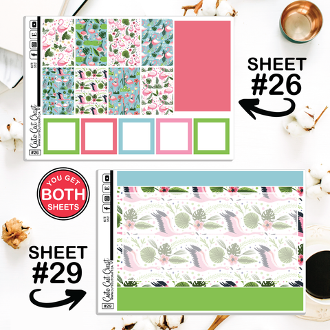 Flamingo Fling #352 || CHP Dashboard Weekly & Monthly