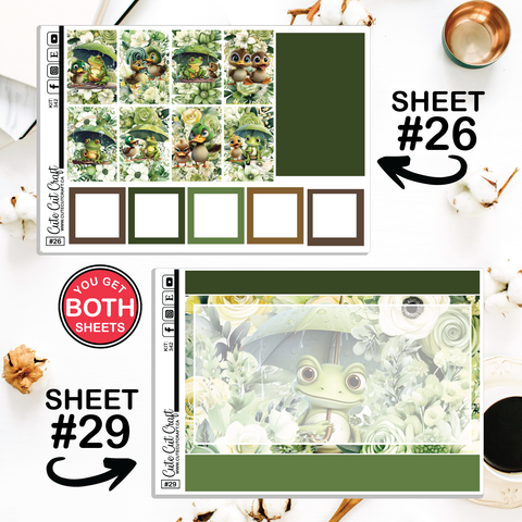 Water Buddies #342 || CHP Dashboard Weekly & Monthly