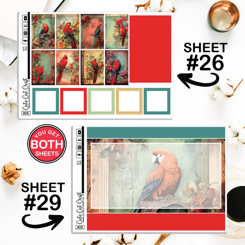 Red Parrot #365  || CHP Dashboard Weekly & Monthly