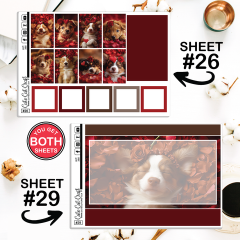 Valentine Puppy #388 || CHP Dashboard Weekly & Monthly