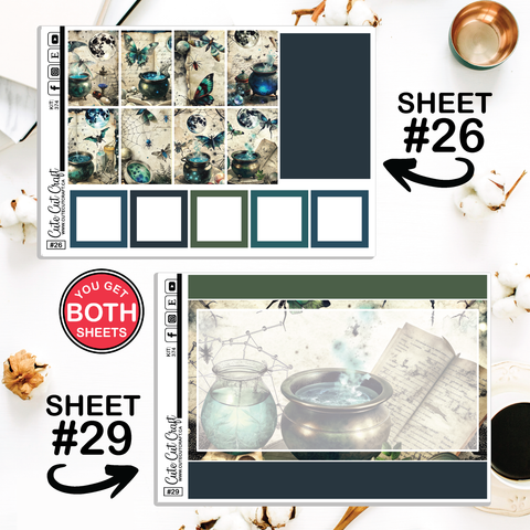 Witchy Way #374 || CHP Dashboard Weekly & Monthly