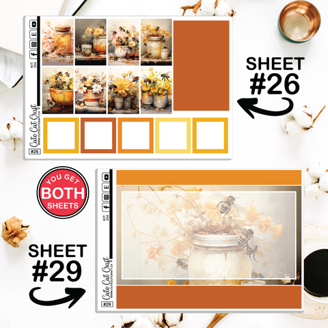 Bumble Bee #354 || CHP Dashboard Weekly & Monthly