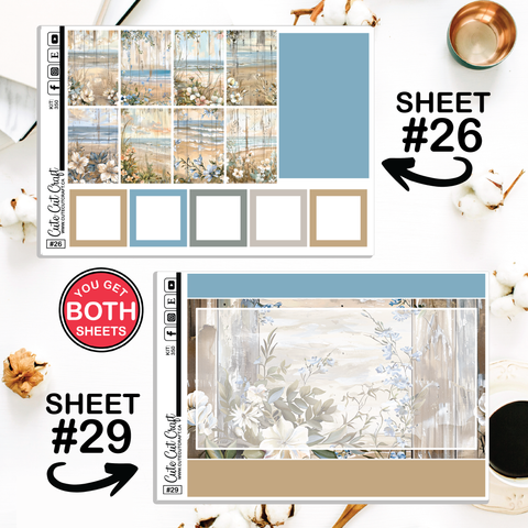 Beachscape #350 || CHP Dashboard Weekly & Monthly