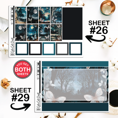 Blue Butterfly #397 || CHP Dashboard Weekly & Monthly