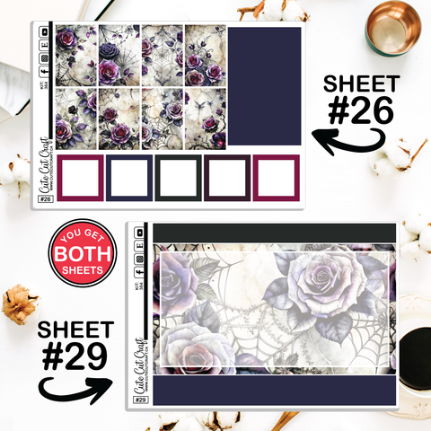 Romantic Poison #364  || CHP Dashboard Weekly & Monthly