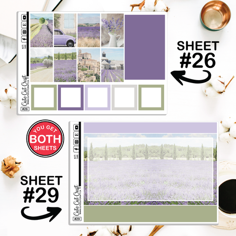 Lavender Fields #346 || CHP Dashboard Weekly & Monthly