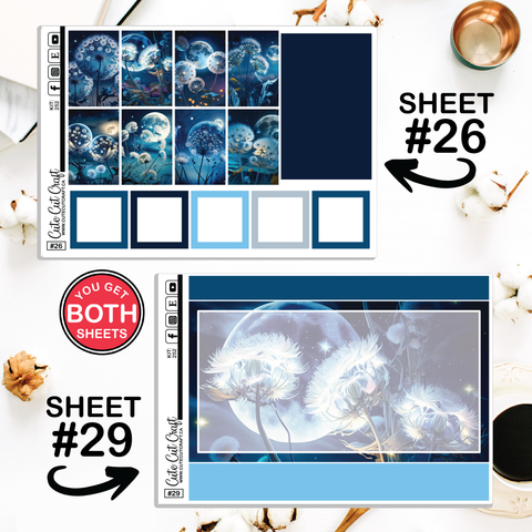 Moonlight Dandy #252 || CHP Dashboard Weekly & Monthly