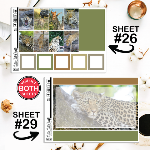 Leopard #406 || CHP Dashboard Weekly & Monthly