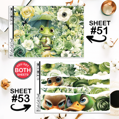 Water Buddies #342 || CHP Dashboard Weekly & Monthly