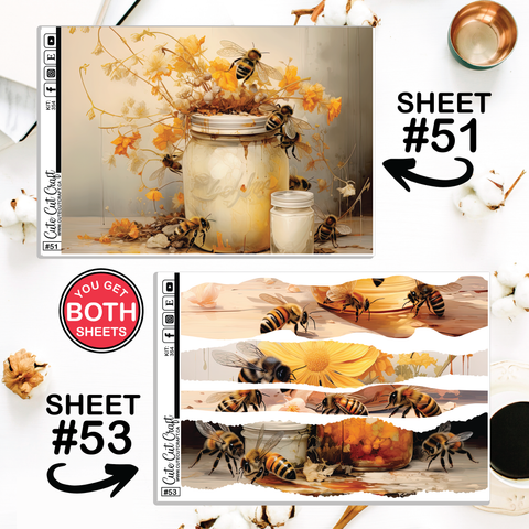 Bumble Bee #354 || CHP Dashboard Weekly & Monthly