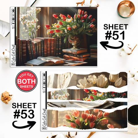 Vintage Tulip #395 || CHP Dashboard Weekly & Monthly