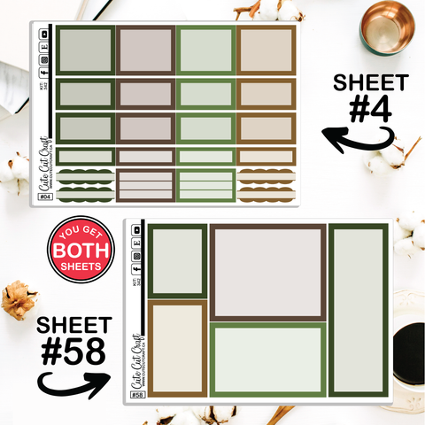 Water Buddies #342 || CHP Dashboard Weekly & Monthly