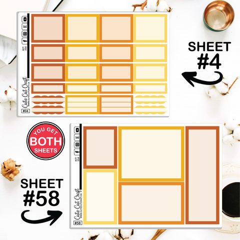 Bumble Bee #354 || CHP Dashboard Weekly & Monthly