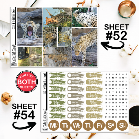 Leopard #406 || CHP Dashboard Weekly & Monthly