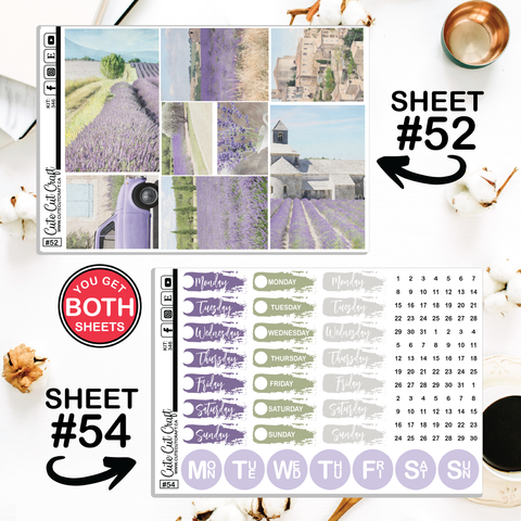 Lavender Fields #346 || CHP Dashboard Weekly & Monthly