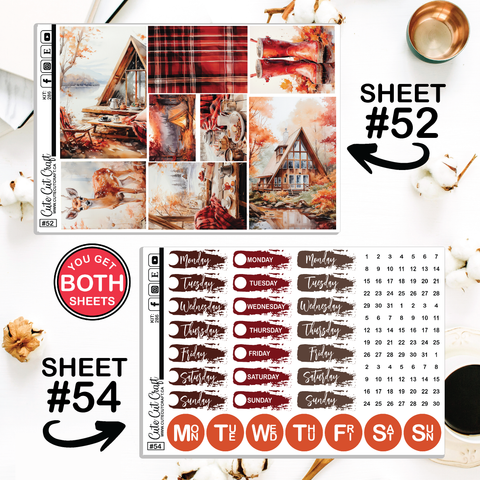 Red Fall # 286 || CHP Dashboard Weekly & Monthly