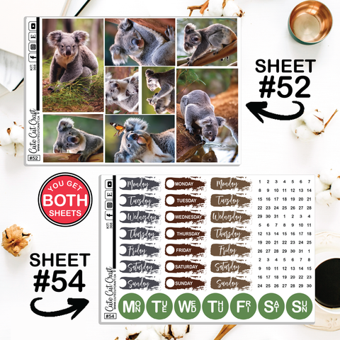 Cute Koala #368 || CHP Dashboard Weekly & Monthly