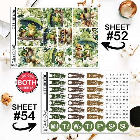 Water Buddies #342 || CHP Dashboard Weekly & Monthly