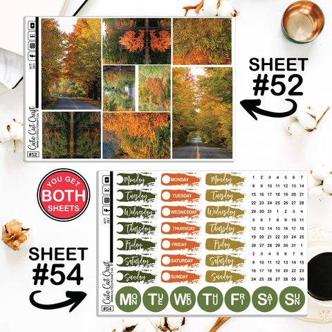 Autumn Anthem #381 || CHP Dashboard Weekly & Monthly