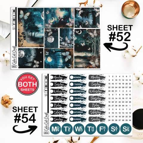 Blue Butterfly #397 || CHP Dashboard Weekly & Monthly