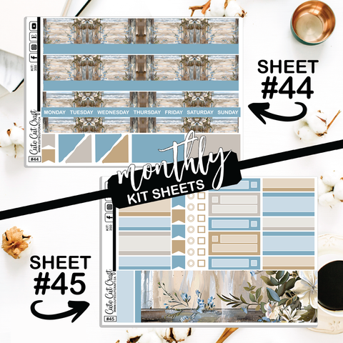 Beachscape #350 || CHP Dashboard Weekly & Monthly