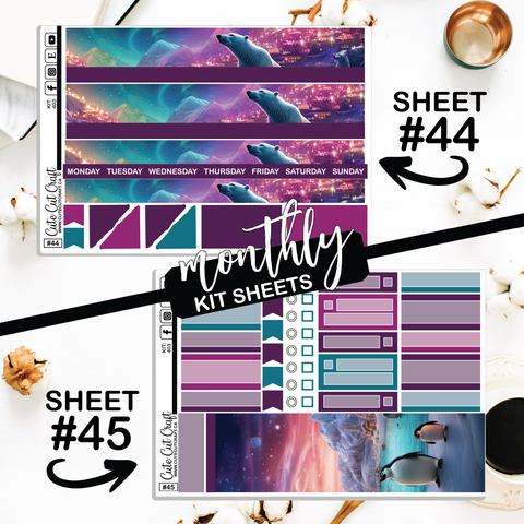 Polar Lights #403 || CHP Dashboard Weekly & Monthly