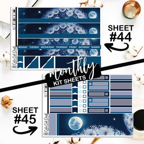 Moonlight Dandy #252 || CHP Dashboard Weekly & Monthly